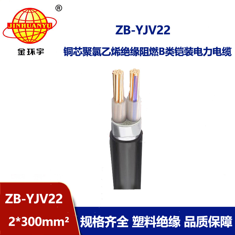金环宇电缆 ZB-YJV22-2X300平方 b级阻燃电缆yjv22钢带铠装电缆